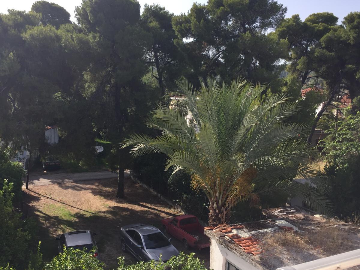 Double Room Mountain View