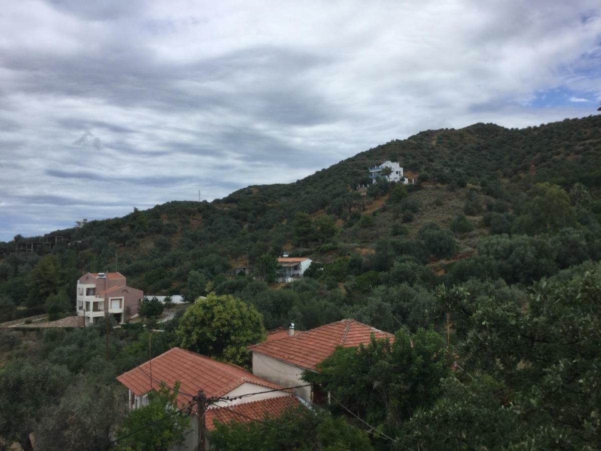 Apartment Sea Mountain View