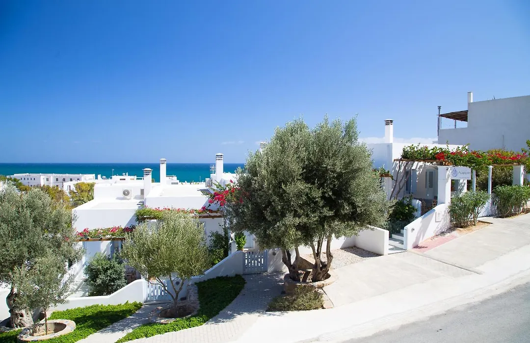 Amphitrite Apartments Skyros-1