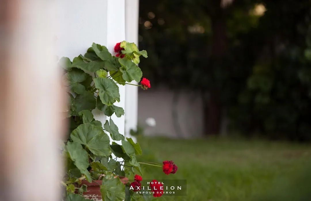 Achilleion Hotel-1