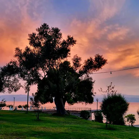 Holidays In Evia Beach Hotel (Adults Only)-3
