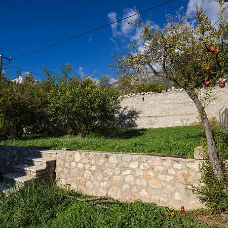 Elia Apartments Chrisso-3