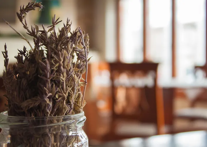 Hôtels à côté de Ruines de Delphes